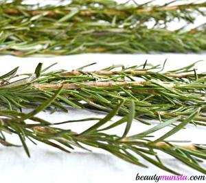 Tinh dầu hương thảo là chiết xuất từ ​​lá hương thảo và nó rất tốt để kích thích mọc tóc và mọc lại các mảng hói. 