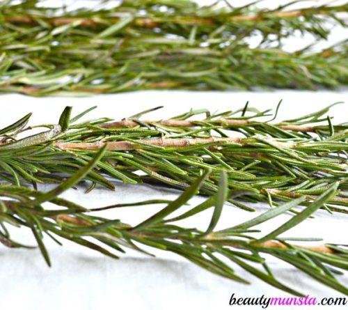 Tinh dầu hương thảo được chiết xuất từ ​​lá hương thảo và nó rất tốt để kích thích mọc tóc và mọc lại các mảng hói. 