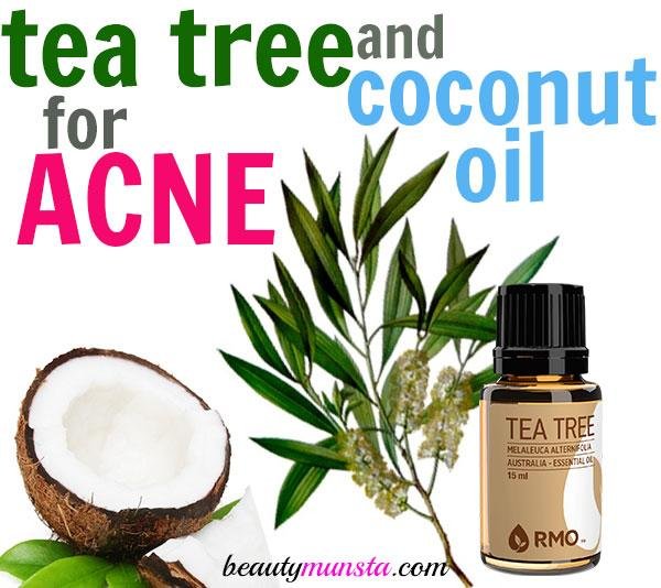 tea-tree-Coconut-oil-for-Acne