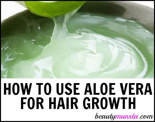 Tìm hiểu cách sử dụng gel lô hội để mọc tóc! Nó thực sự giúp tóc bạn mọc dày và dài hơn