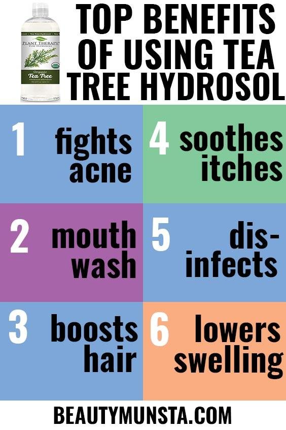 lợi ích làm đẹp của tea tree hydrosol