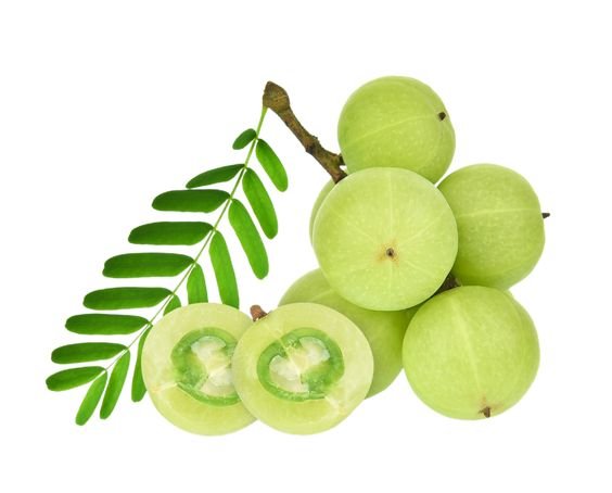 quả amla