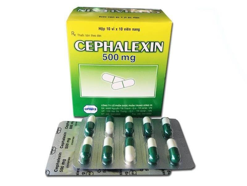 thuoc-cephalexin-500mg
