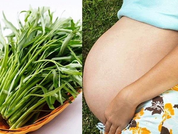 Thực hư chuyện ăn rau muống chống thiếu máu ở bà bầu và trẻ nhỏ